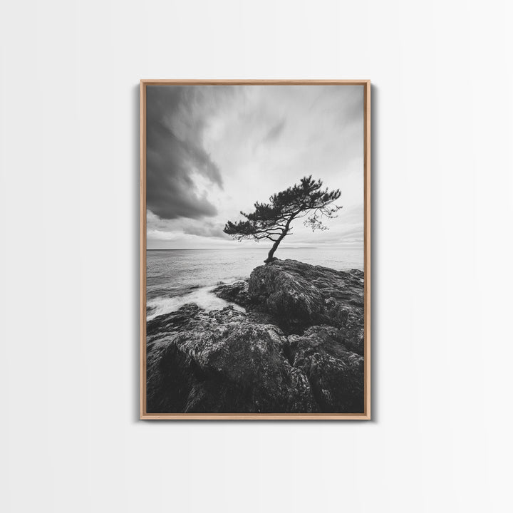Lone Tree, Cliffside Ocean, Windy Coast Art, Framed Canvas Print, Bedroom Wall Art, Modern Nature Photography, Coastal Minimalist Decor