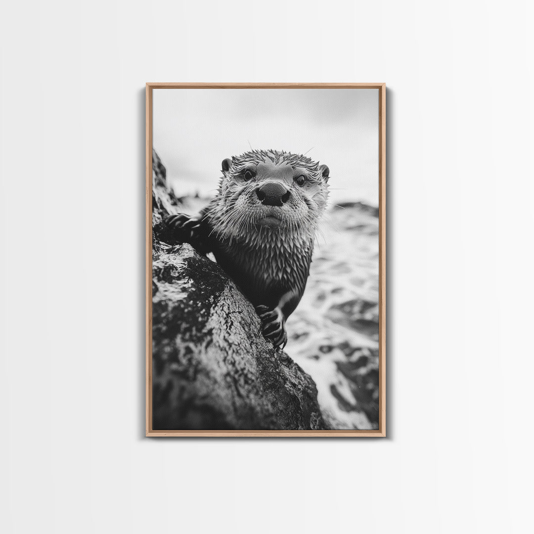 Curious Otter, Coastal Wildlife, Black and White, Animal Photography, Framed Canvas Print, Bathroom Wall Art, Nature Lover Gift