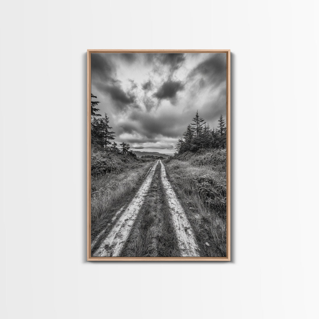 Forest Trail, Overcast Sky, Nature Pathway, Moody Landscape, Framed Canvas Print, Office Wall Art, Woodland Autumn Decor