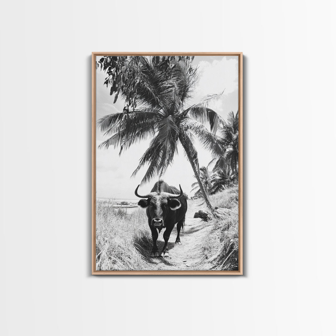 Tropical Bull, Palm Tree, Island Wildlife, Rural Photography, Framed Canvas Print, Kitchen Wall Art, Exotic Boho Decor, farmhouse decor