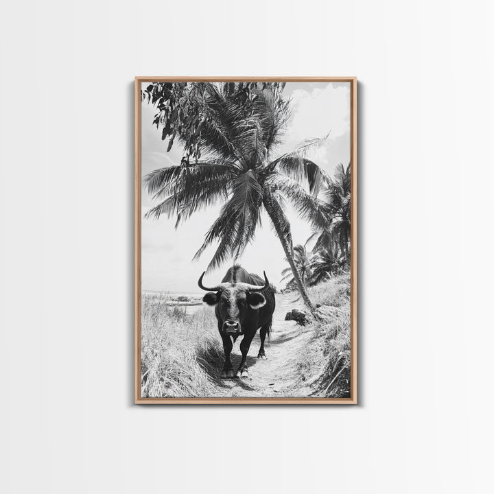 Tropical Bull, Palm Tree, Island Wildlife, Rural Photography, Framed Canvas Print, Kitchen Wall Art, Exotic Boho Decor, farmhouse decor