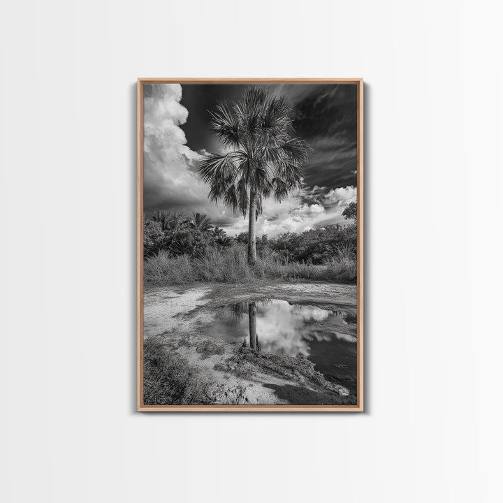 Tropical Palm, Reflected Sky, Nature Tranquility, Canvas Print, boho wall decor, bathroom art, tropical reflection photography