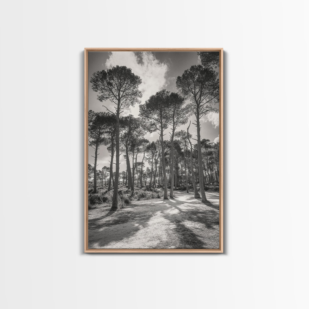 Forest Shadows, Tall Pines, Natural Light, Framed Canvas Print, woodland landscape, rustic cabin decor, autumn forest art