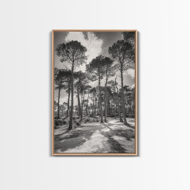 Forest Shadows, Tall Pines, Natural Light, Framed Canvas Print, woodland landscape, rustic cabin decor, autumn forest art