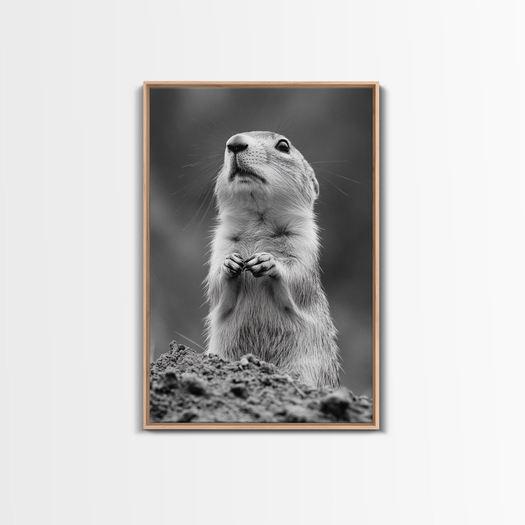 Prairie Dog, Wildlife Watch, Nature Moment, Framed Canvas Print, Whimsical Animal Wall Art, Nursery Decor, Cute Forest Creature