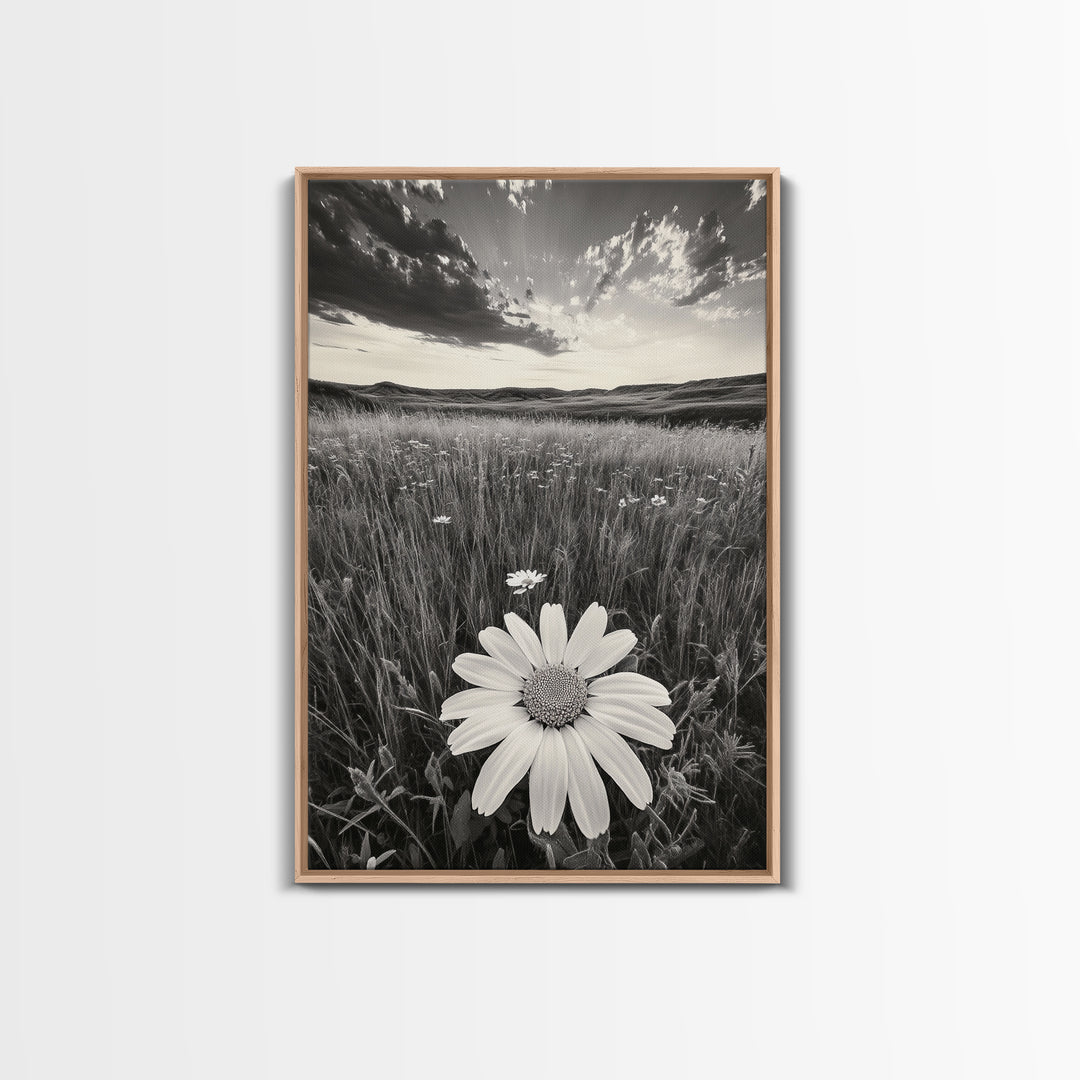 Wildflower Field, Daisy Bloom, Summer Meadow, Framed Canvas Print, Boho Botanical Wall Art, Bedroom Decor, Earthy Nature Photography