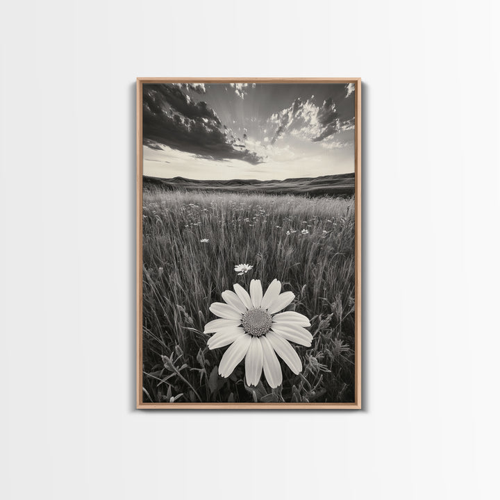 Wildflower Field, Daisy Bloom, Summer Meadow, Framed Canvas Print, Boho Botanical Wall Art, Bedroom Decor, Earthy Nature Photography