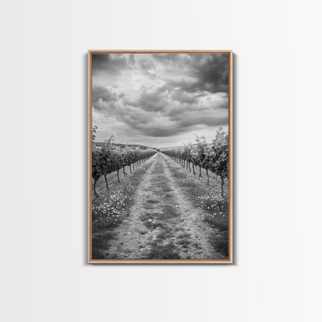 Vineyard Rows, Cloudy Skies, Countryside Path, Canvas Print, Farmhouse Wall Art, Kitchen or Dining Decor, Rustic Landscape Photo