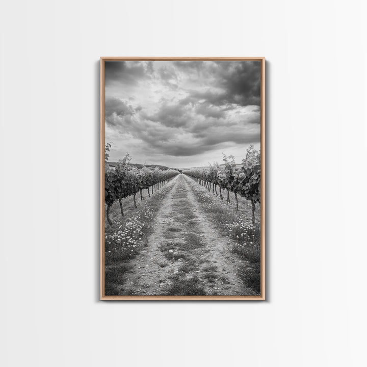 Vineyard Rows, Cloudy Skies, Countryside Path, Canvas Print, Farmhouse Wall Art, Kitchen or Dining Decor, Rustic Landscape Photo
