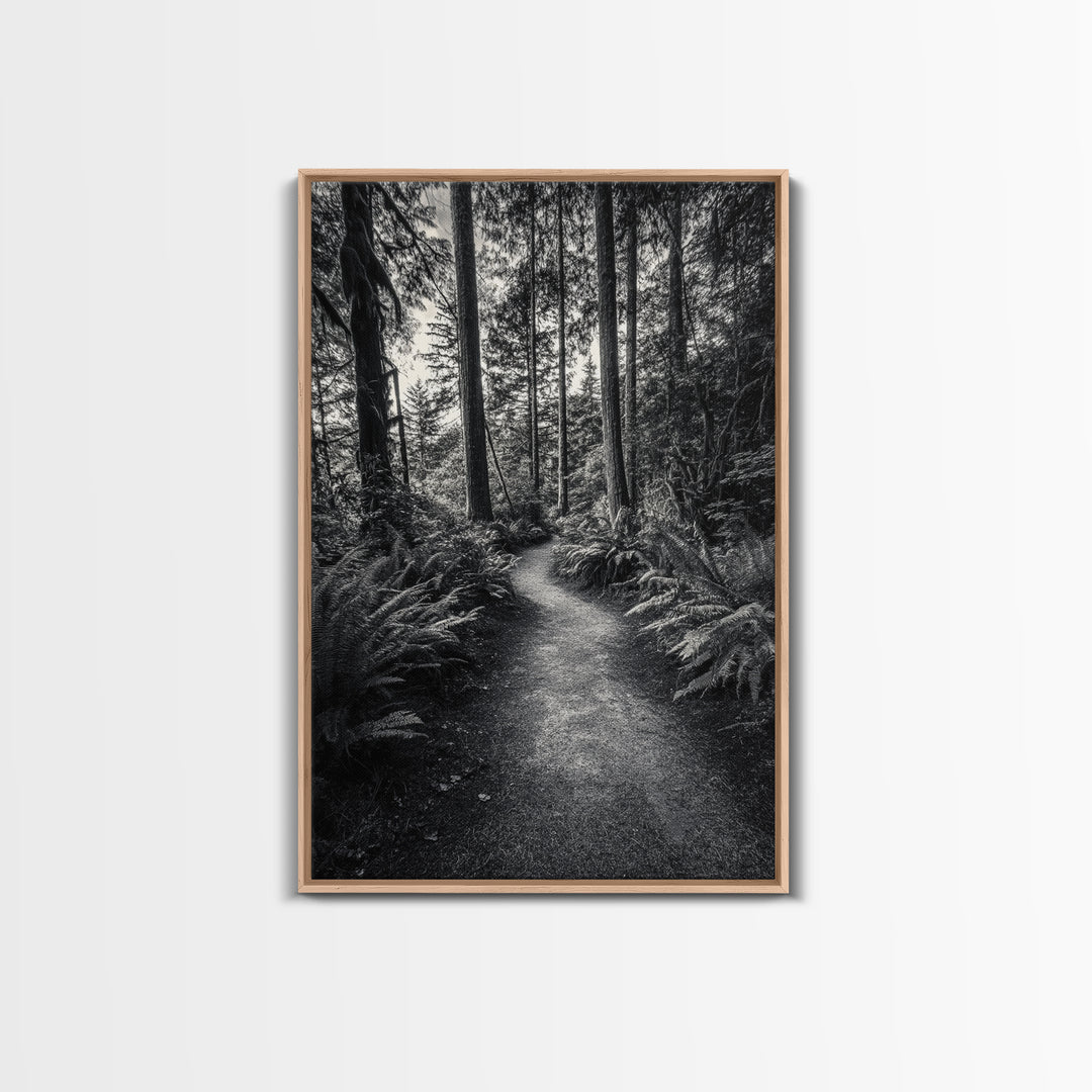 Fern Pathway, Enchanted Forest, Woodland Trail, Framed Canvas Print, Nature Walk Wall Art, Boho Bedroom Decor, Moody Landscape Style