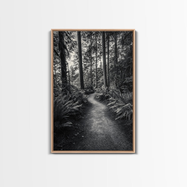 Fern Pathway, Enchanted Forest, Woodland Trail, Framed Canvas Print, Nature Walk Wall Art, Boho Bedroom Decor, Moody Landscape Style