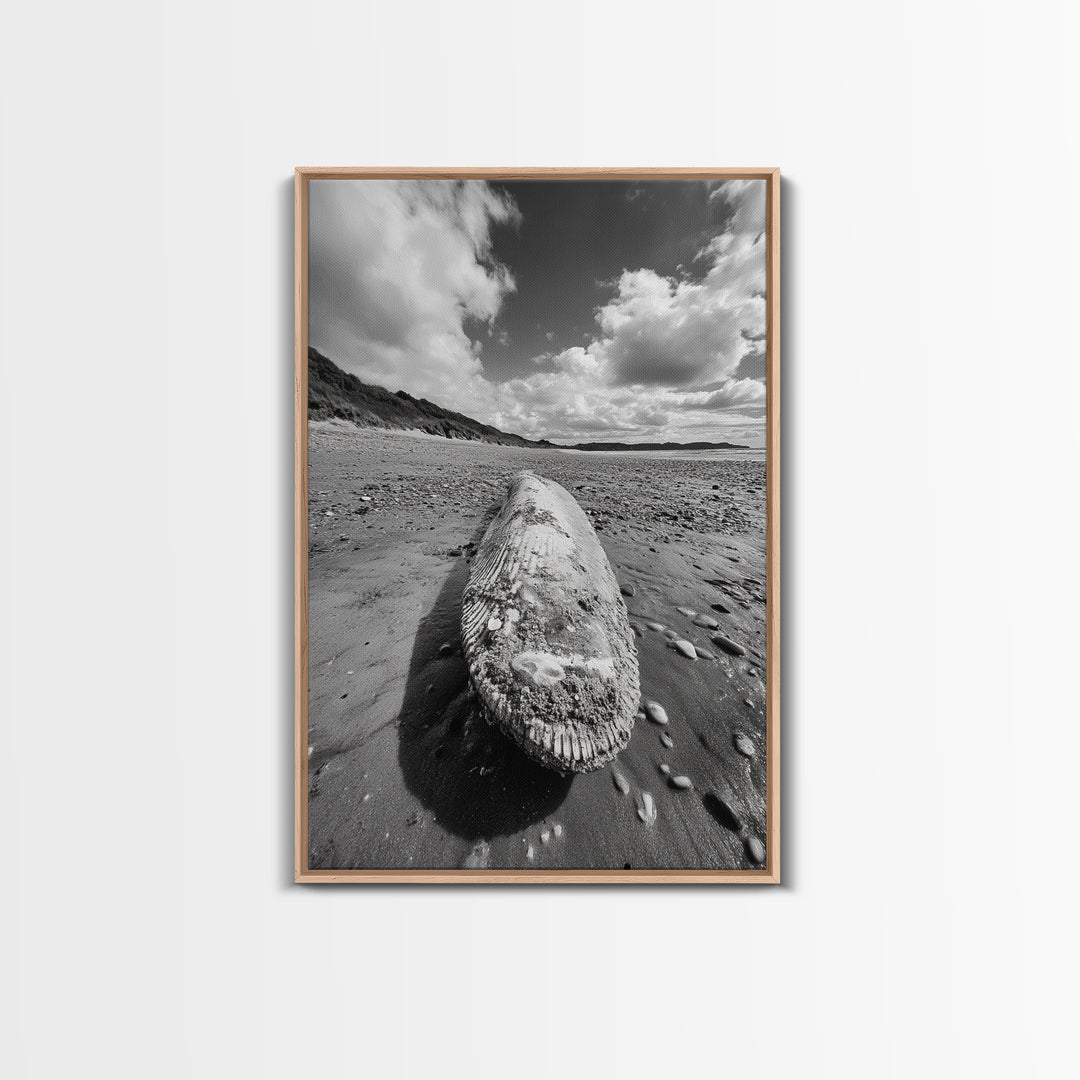 Whale Bone, Coastal Find, Ocean Relic, Framed Canvas Print, Seaside Wall Art, Beach House Decor, Nautical Minimalist Photography