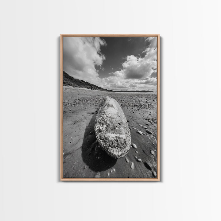 Whale Bone, Coastal Find, Ocean Relic, Framed Canvas Print, Seaside Wall Art, Beach House Decor, Nautical Minimalist Photography