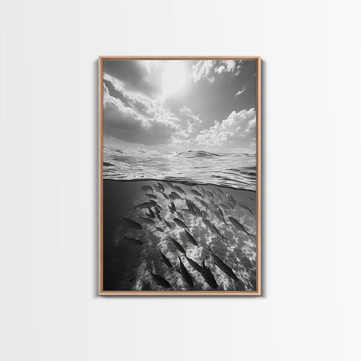 Underwater Scene, School of Fish, Ocean Photography, Split Shot Water, Framed Canvas Print, Bathroom Wall Art, Coastal Decor