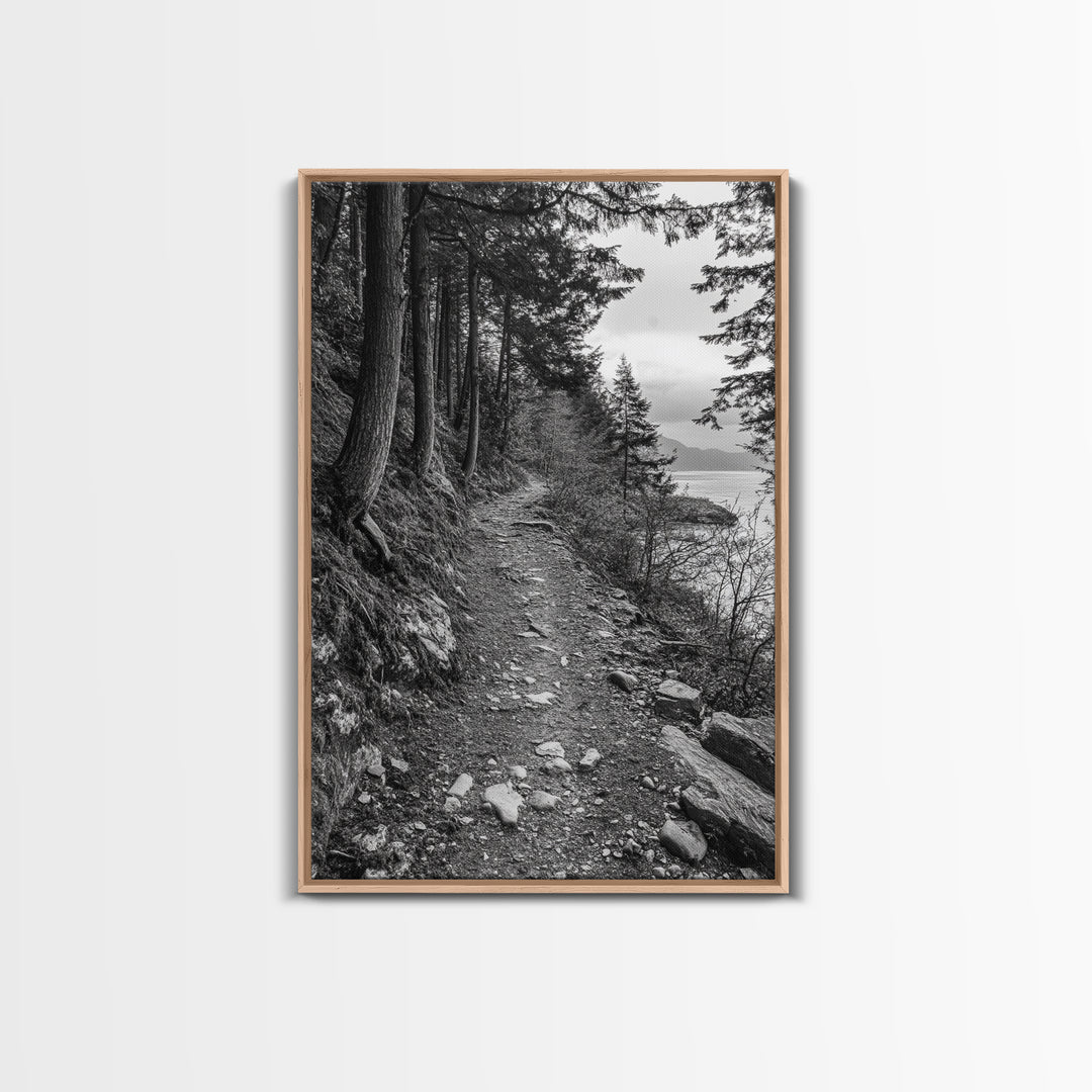 Forest Pathway Trail, Wilderness Escape, Rustic Nature, Black and White Framed Canvas Print, Cozy Cabin or Entryway Wall Art