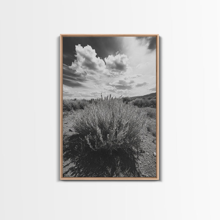 Desert Sage, Cloud Sky, Nature Wall Decor, Framed Canvas Print, Minimalist Art, Boho Style, Neutral Tones, Entryway Botanical Print
