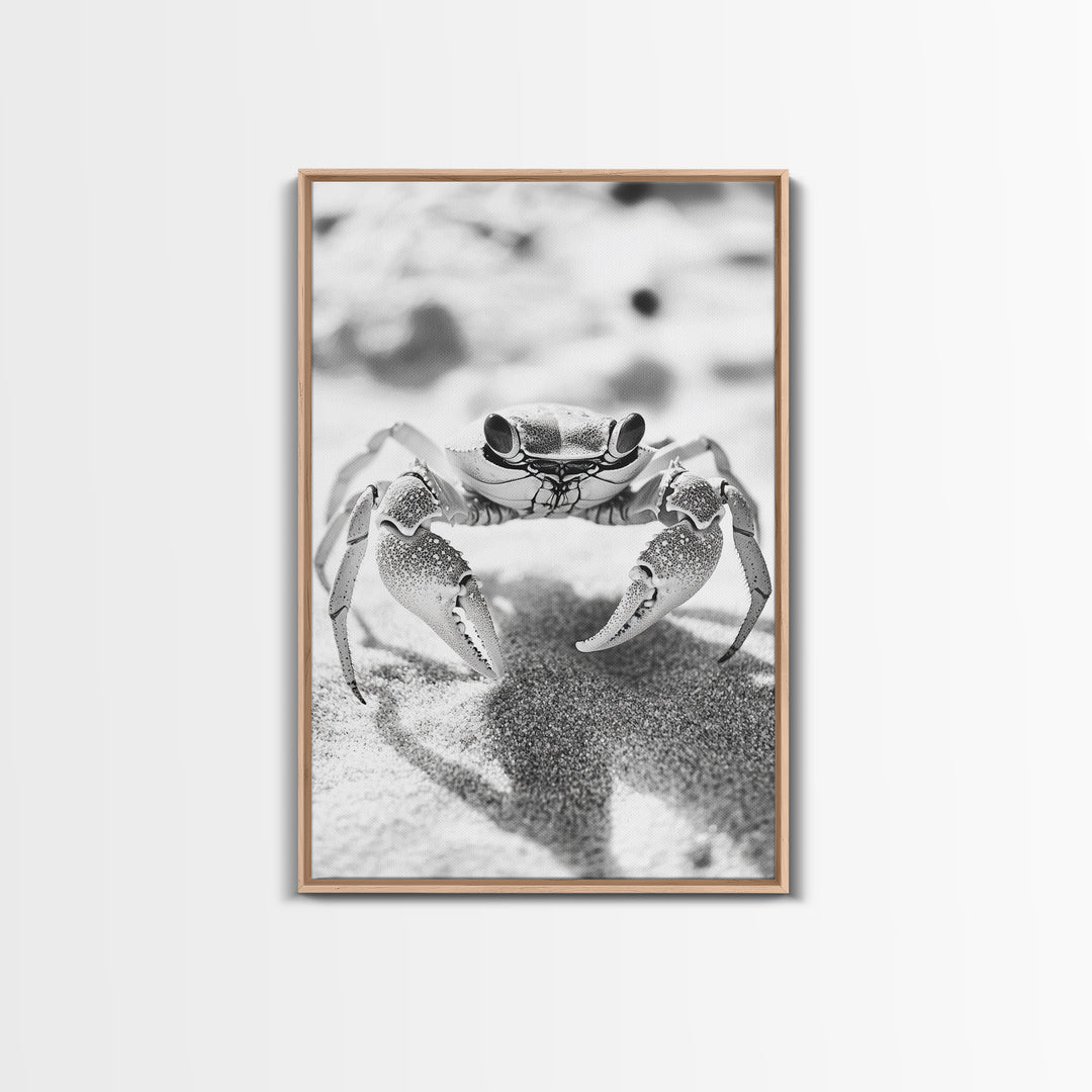 Sand Crab, Beach Macro, Ocean Critter Art, Framed Canvas Print, Coastal Bathroom Decor, Beach House Wall Art, Nature Close-Up
