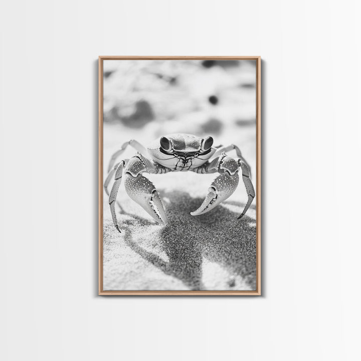 Sand Crab, Beach Macro, Ocean Critter Art, Framed Canvas Print, Coastal Bathroom Decor, Beach House Wall Art, Nature Close-Up