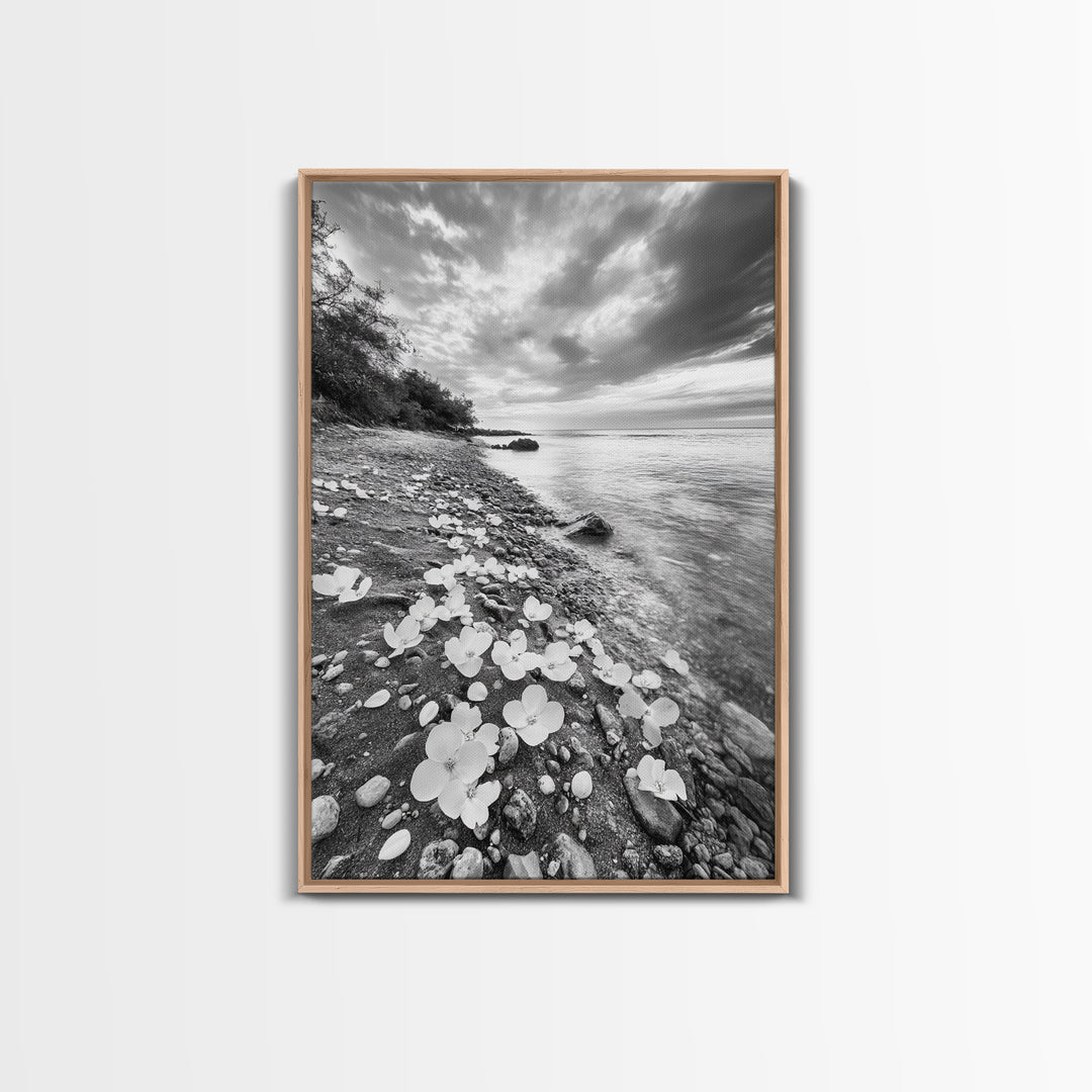 Flower Shore, Peaceful Beach, Moody Sky, Petal Scape, Framed Canvas Print, romantic beach art, bedroom decor, black and white floral print