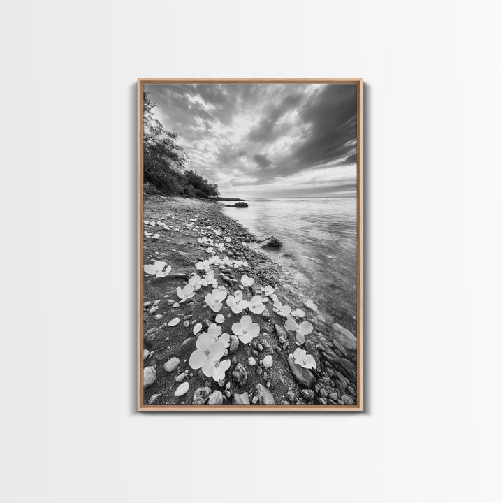 Flower Shore, Peaceful Beach, Moody Sky, Petal Scape, Framed Canvas Print, romantic beach art, bedroom decor, black and white floral print