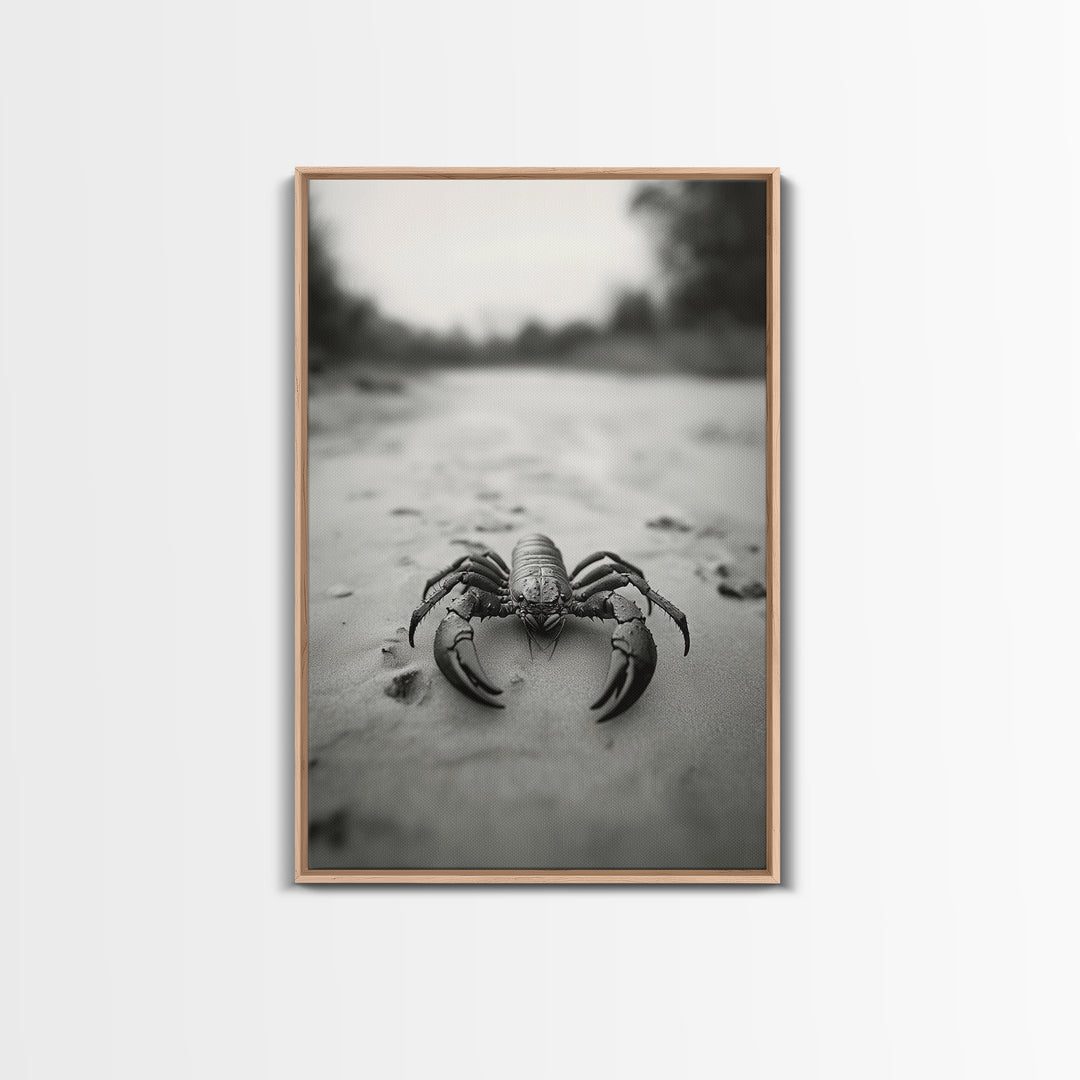 Desert Scorpion, Moody Wildlife, Sandy Ground, Focused Predator, Framed Canvas Print, edgy boho decor, masculine wall art, nature closeup