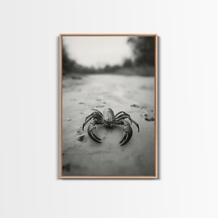 Desert Scorpion, Moody Wildlife, Sandy Ground, Focused Predator, Framed Canvas Print, edgy boho decor, masculine wall art, nature closeup