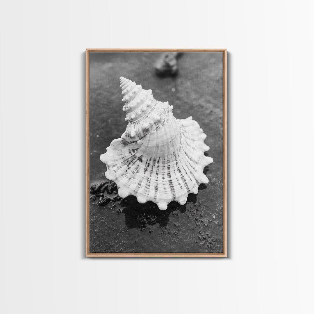 Spiral Shell, Beach Texture, Nature Closeup, Sea Whisper Framed Canvas Print, minimalist beach wall art, boho coastal kitchen decor