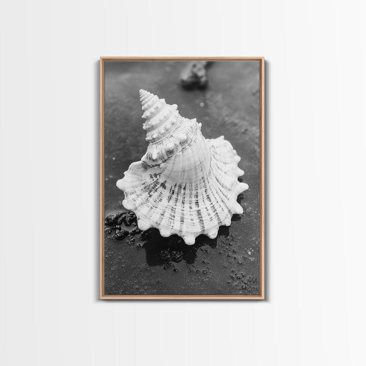Spiral Shell, Beach Texture, Nature Closeup, Sea Whisper Framed Canvas Print, minimalist beach wall art, boho coastal kitchen decor