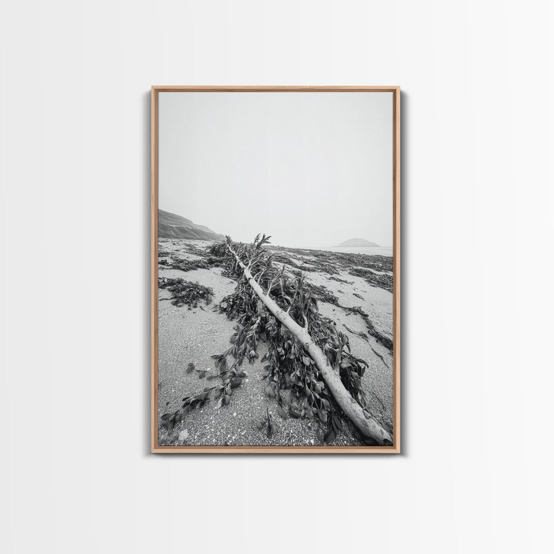 Seaweed Shoreline, Drifted Beauty, Coastal Debris, Tide Echo Framed Canvas Print, ocean nature wall art, minimalist beach decor