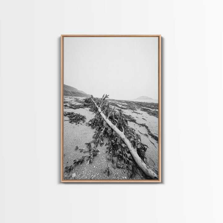 Seaweed Shoreline, Drifted Beauty, Coastal Debris, Tide Echo Framed Canvas Print, ocean nature wall art, minimalist beach decor