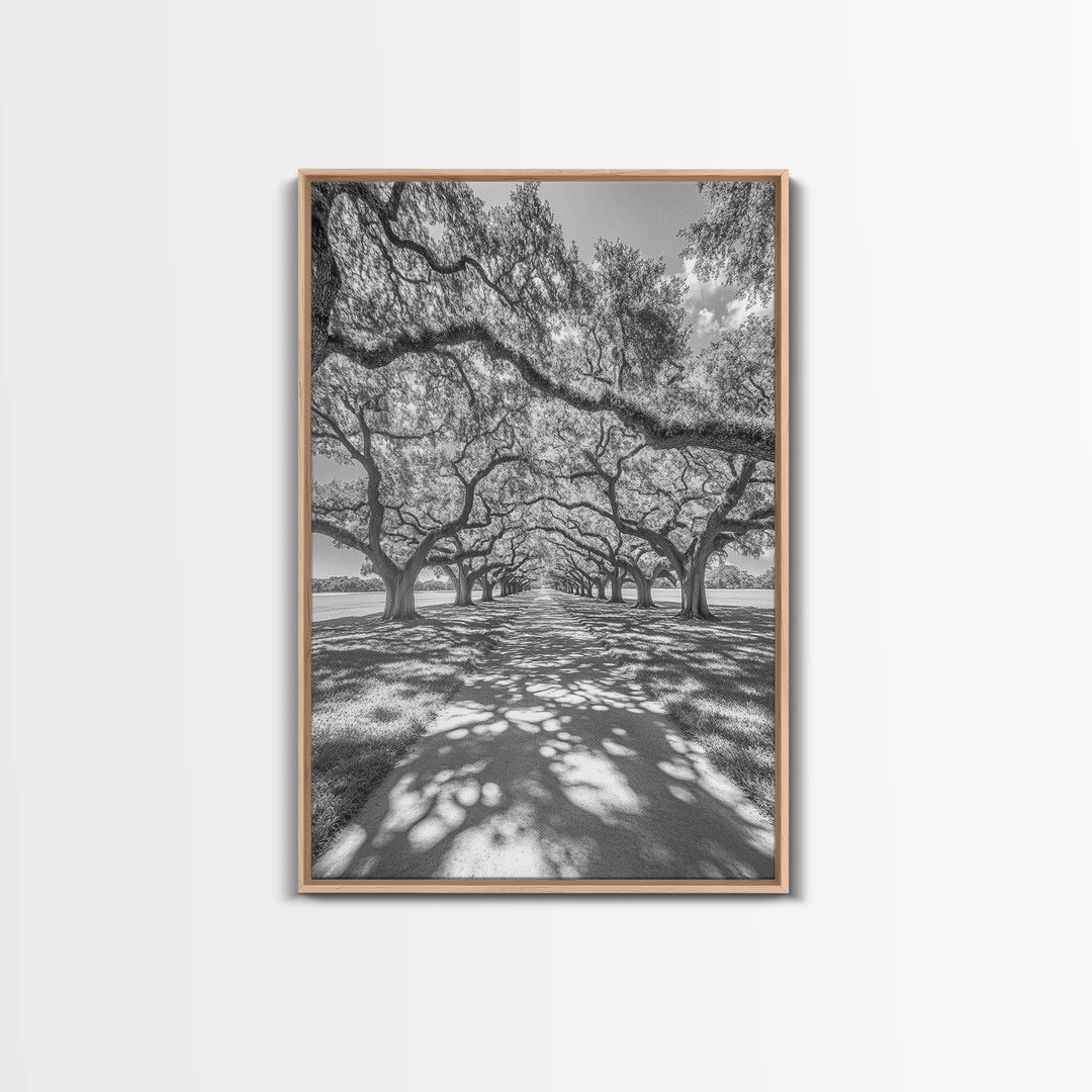Oak Tree Tunnel, Southern Charm, Shaded Pathway, Timeless Trees Framed Canvas Print, farmhouse wall decor, hallway landscape art