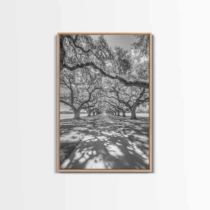 Oak Tree Tunnel, Southern Charm, Shaded Pathway, Timeless Trees Framed Canvas Print, farmhouse wall decor, hallway landscape art