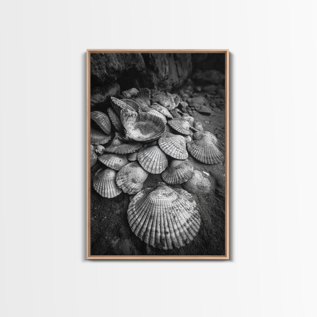 Seashell Pile, Textured Beach, Coastal Treasures, Natural Beauty Framed Canvas Print, bathroom decor, shell art, beach wall style