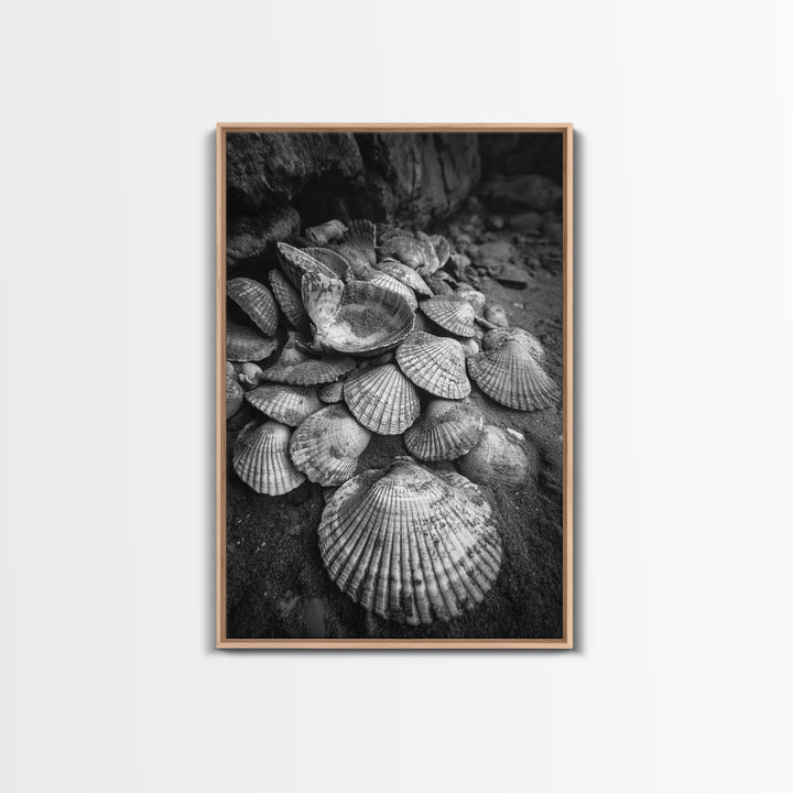 Seashell Pile, Textured Beach, Coastal Treasures, Natural Beauty Framed Canvas Print, bathroom decor, shell art, beach wall style