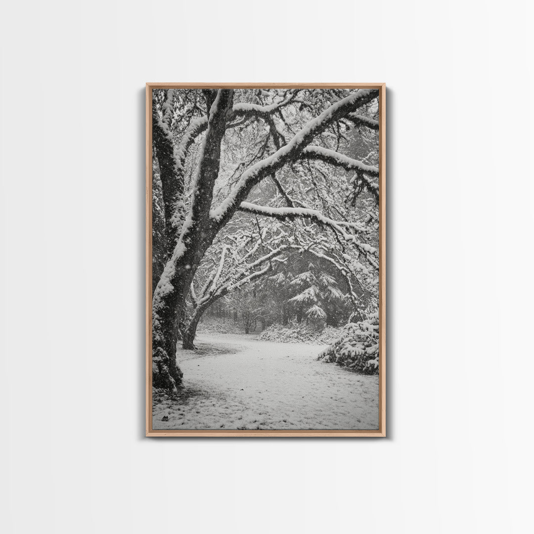 Snowfall Trees, Winter Forest, Nature Pathway, Canvas Print, Holiday Season Decor, Cozy Living Room or Cabin Wall Art
