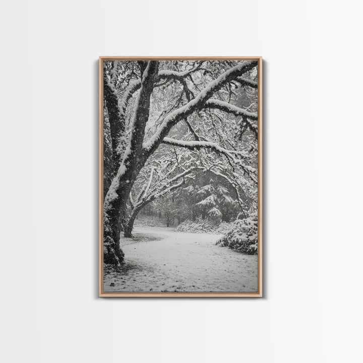 Snowfall Trees, Winter Forest, Nature Pathway, Canvas Print, Holiday Season Decor, Cozy Living Room or Cabin Wall Art