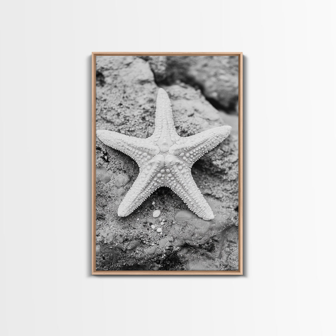 Starfish Closeup, Coastal Shell, Beach Texture, Framed Canvas Print, Bathroom or Ocean Nursery Decor, Minimal Beach Art