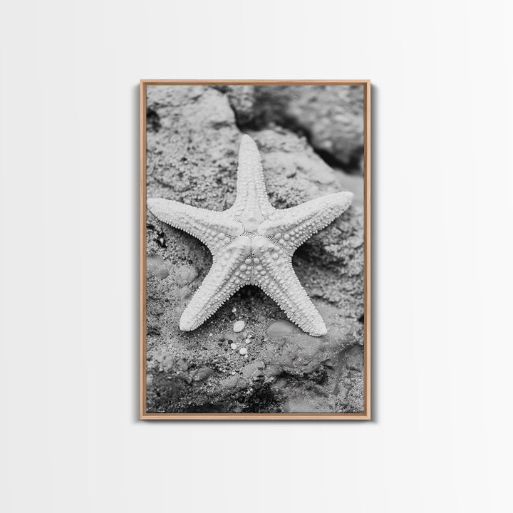 Starfish Closeup, Coastal Shell, Beach Texture, Framed Canvas Print, Bathroom or Ocean Nursery Decor, Minimal Beach Art