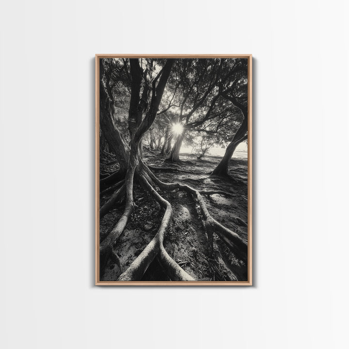 Sunlit Forest Roots, Tree Shadows, Golden Light, Framed Canvas Print, Boho Nature Wall Art, Bedroom Wall Decor, Earthy Tones