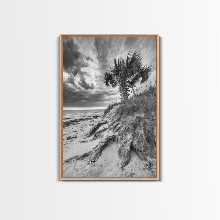 Palm Tree Beach, Coastal Dunes, Dramatic Sky, Framed Canvas Print, Tropical Wall Art, Boho Living Room Decor, Beach House Art