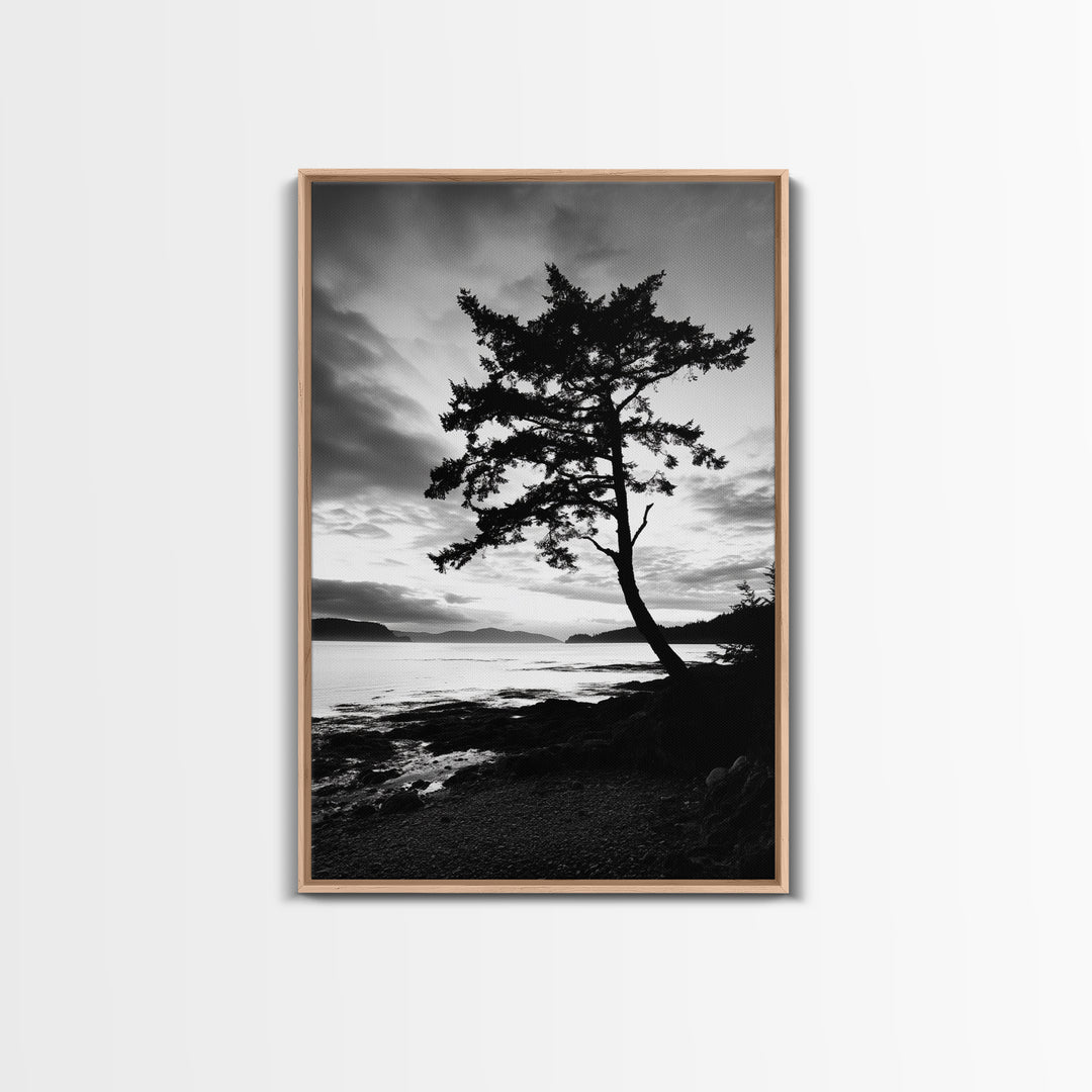 Coastal Tree, Pacific Northwest, Serene Landscape, Monochrome Nature Scene, Framed Canvas Print, Entryway Art, Rustic Cabin Wall Decor
