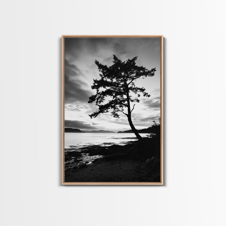 Coastal Tree, Pacific Northwest, Serene Landscape, Monochrome Nature Scene, Framed Canvas Print, Entryway Art, Rustic Cabin Wall Decor
