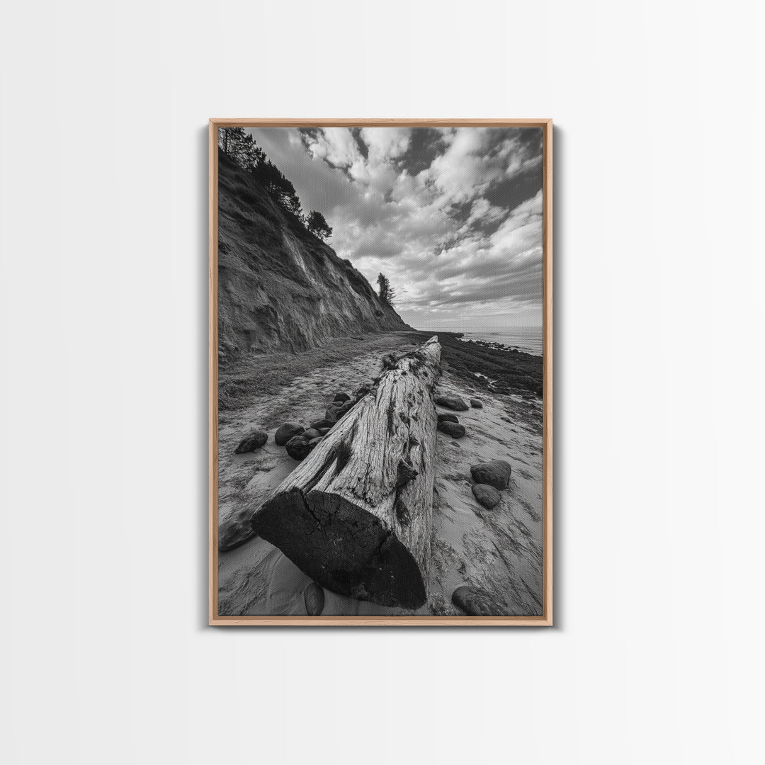 Driftwood Coastal Trail, Cliffside Path Nature Art, Rustic Cabin Style, Black White Photography, Framed Canvas Print, Hallway Wall Decor