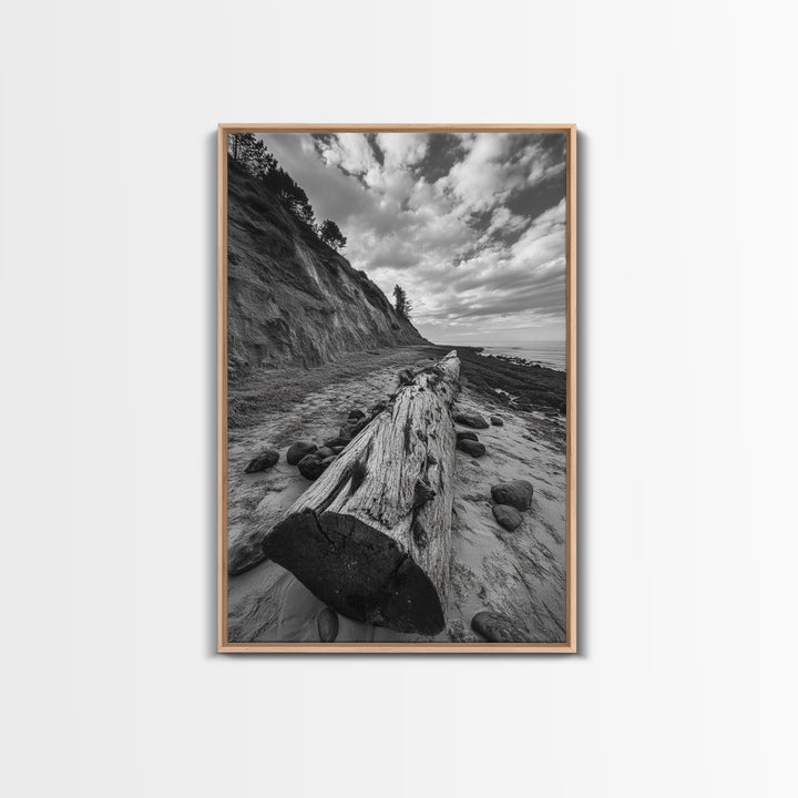 Driftwood Coastal Trail, Cliffside Path Nature Art, Rustic Cabin Style, Black White Photography, Framed Canvas Print, Hallway Wall Decor