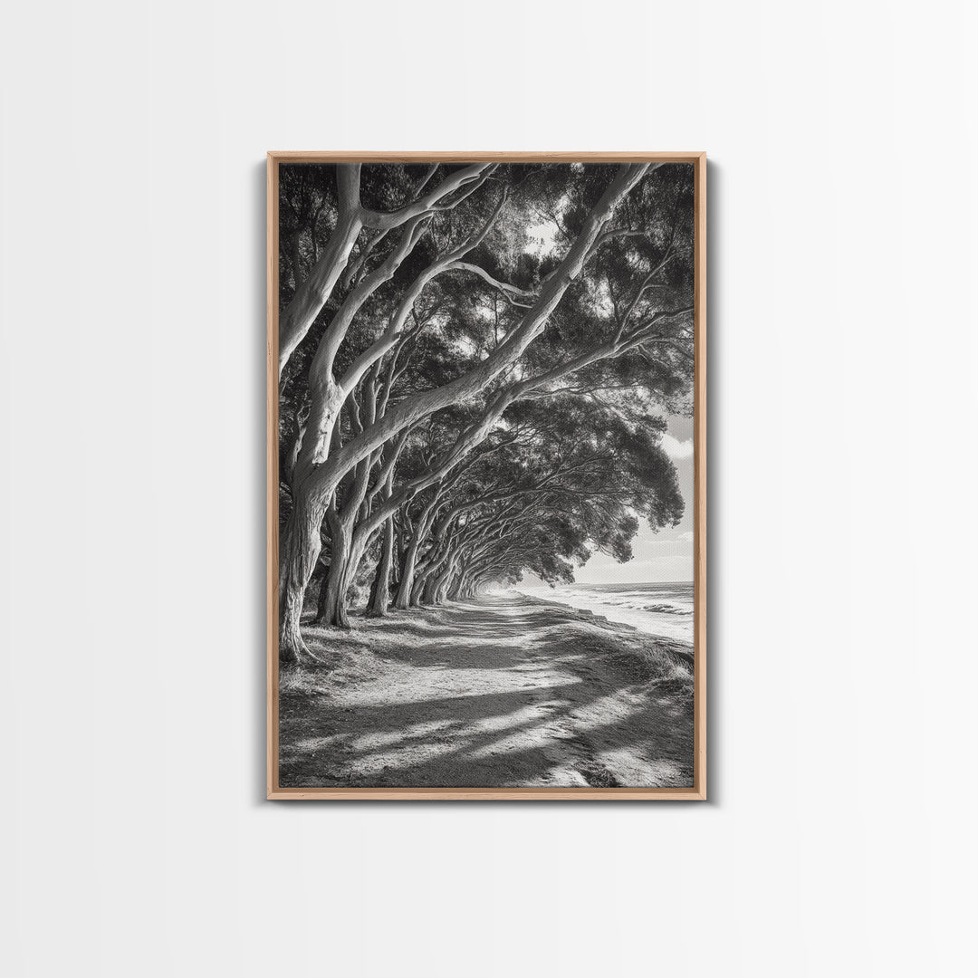 Coastal Tree Path, Nature Shadows, Ocean Breeze, Autumn Light, Framed Canvas Print, Living Room Wall Art, Moody Landscape Photography
