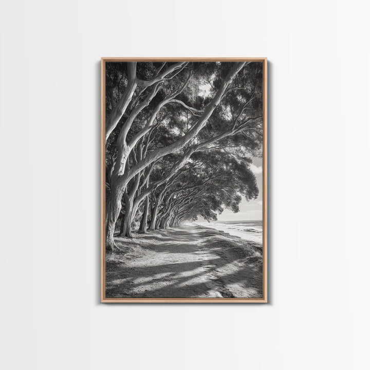 Coastal Tree Path, Nature Shadows, Ocean Breeze, Autumn Light, Framed Canvas Print, Living Room Wall Art, Moody Landscape Photography