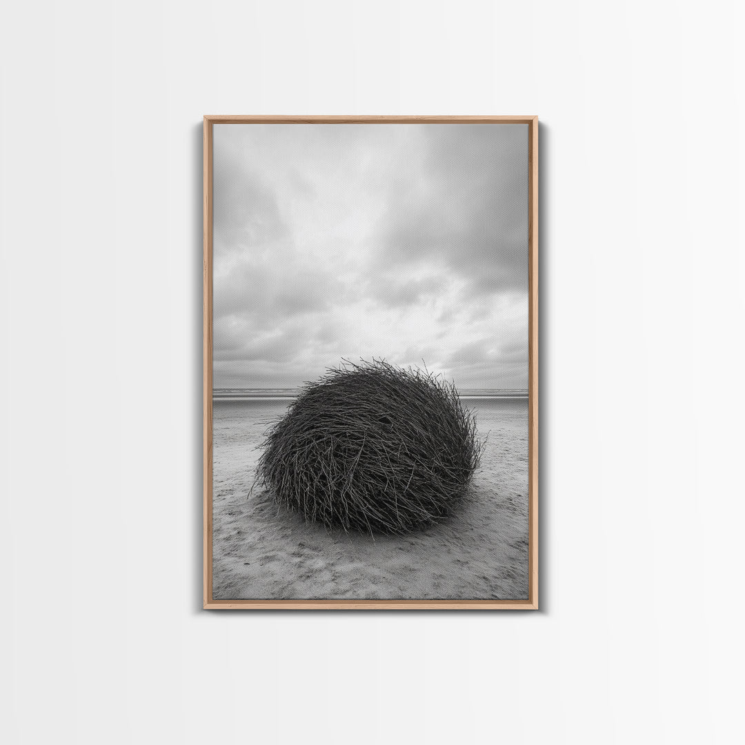 Windswept Beach Nest, Natural Sculpture, Driftwood Ball, Solitude Scene, Canvas Print, Minimalist Wall Art, Neutral Bedroom Decor