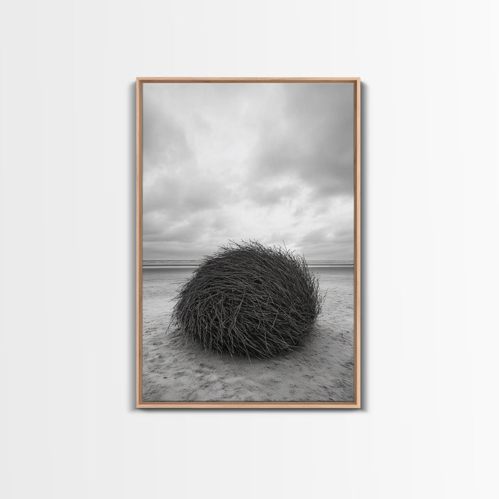 Windswept Beach Nest, Natural Sculpture, Driftwood Ball, Solitude Scene, Canvas Print, Minimalist Wall Art, Neutral Bedroom Decor