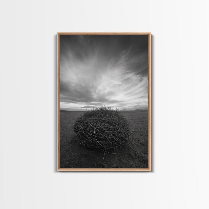 Twilight Field Nest, Tumbleweed Art, Desert Calm, Grassy Plains, Framed Canvas Print, Entryway Wall Art, Boho Nature Landscape