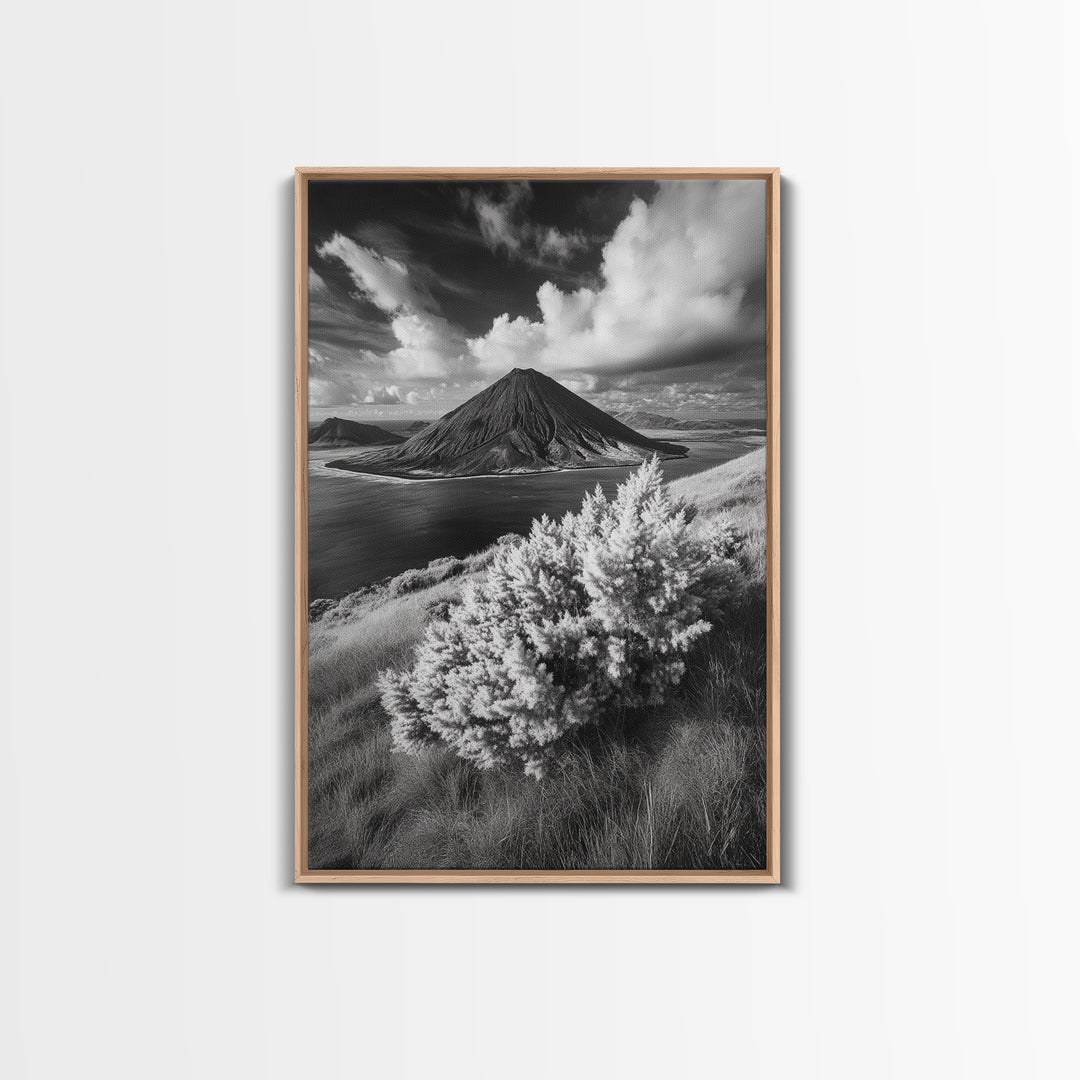 Majestic Volcano, Wild Grass, Black and White, Framed Canvas Print, Nature Photography, Office Decor, Moody Art, Rustic Wall Art